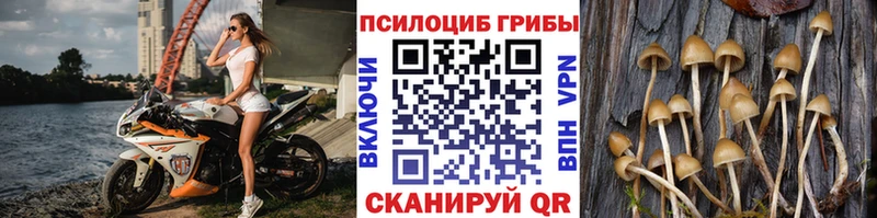 Галлюциногенные грибы Cubensis Таганрог